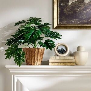 Threshold Green Faux Plant in a Brown Wicker Basket